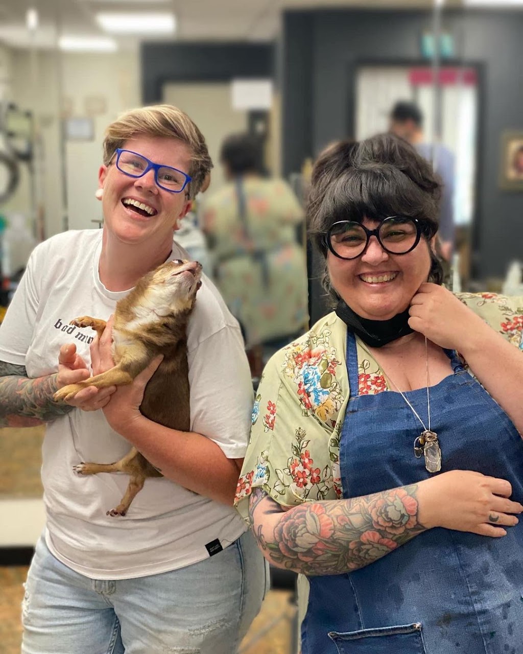 Jays Home Of Chihuahuas | 2104 Savannah Terrace SE, Washington, DC 20020, USA | Phone: (202) 978-8737