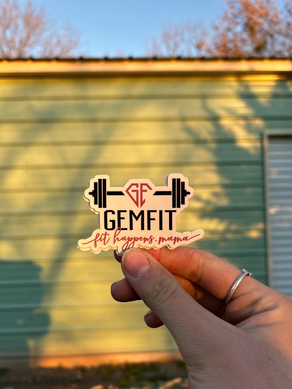 GemFit | 231 Co Rd 1787, Chico, TX 76431, USA | Phone: (817) 401-1396