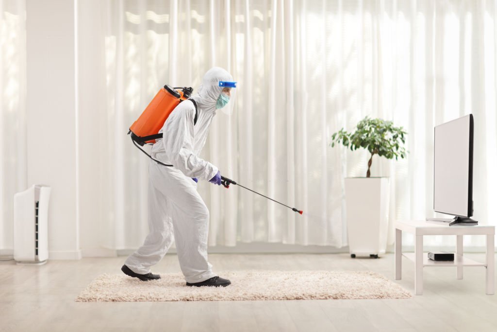 Total Pest control Pleasant Grove | 9606 Tamalpais Dr, Dallas, TX 75217, USA | Phone: (469) 301-7869