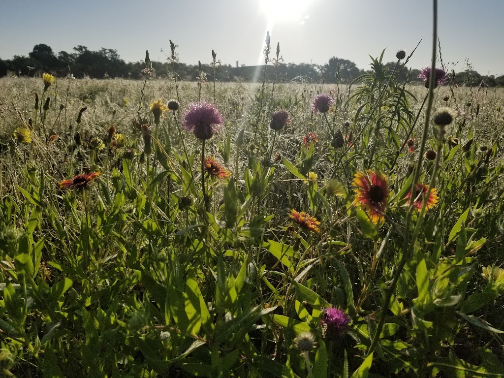 Berry Creek Park | 1100 Shinnecock Hills Dr, Georgetown, TX 78628, USA | Phone: (512) 930-3595