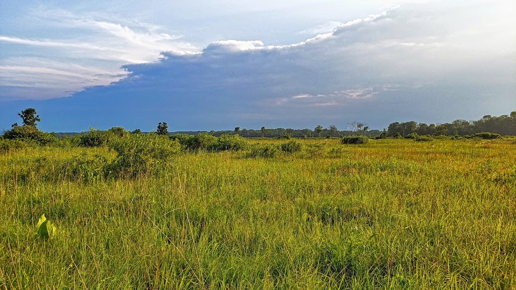 Snapper Prairie State Natural Area | W7480 Prairie Ln, Lake Mills, WI 53551, USA | Phone: (608) 255-2473