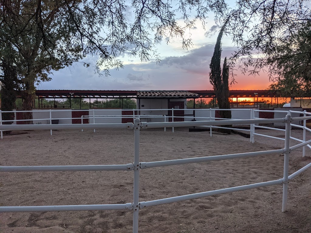 Pegasus Veterinary Center | 11650 E Speedway Blvd, Tucson, AZ 85748, USA | Phone: (520) 296-0480