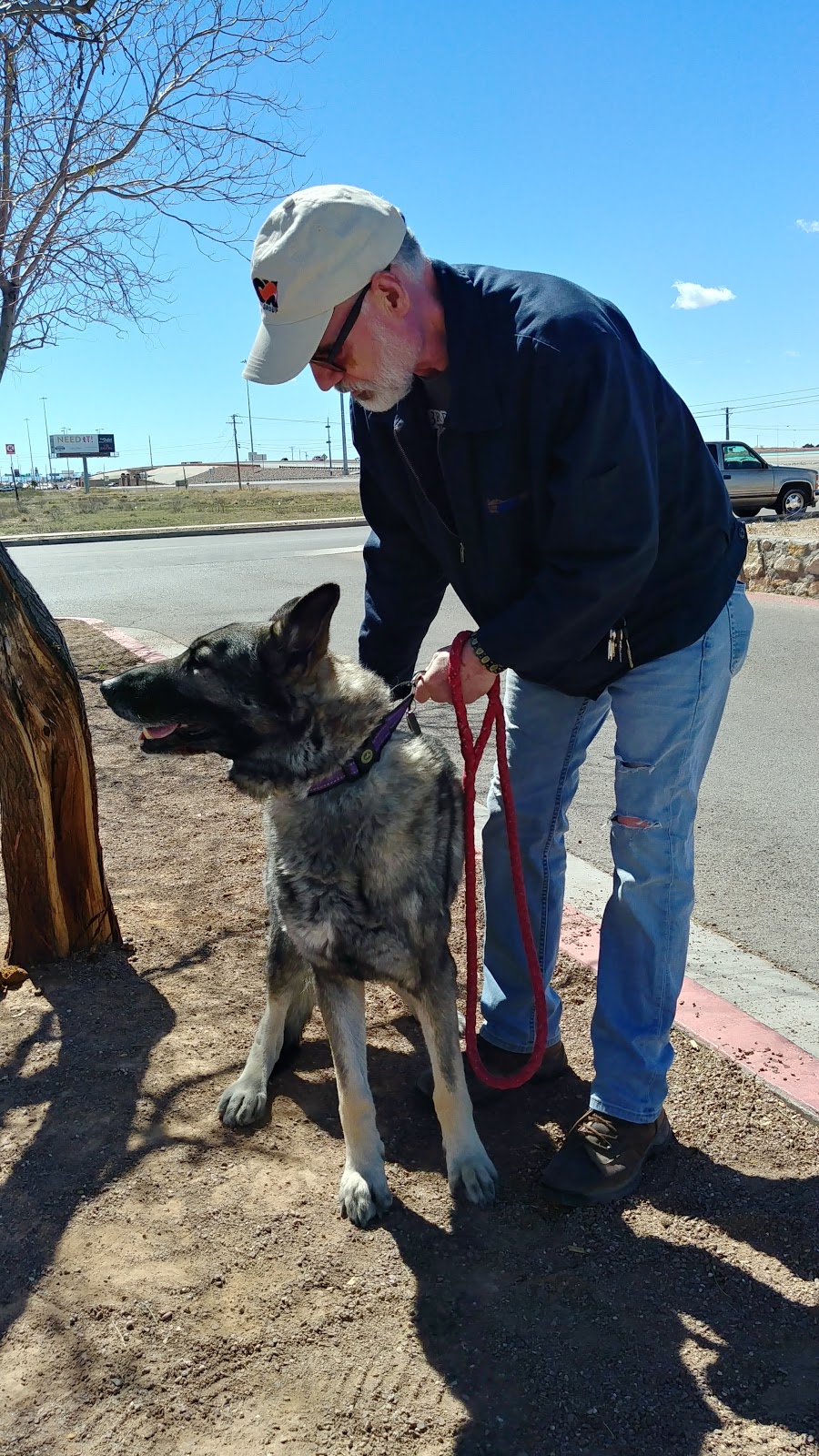 Far East Animal Care Center | 2240 Joe Battle Blvd, El Paso, TX 79938, USA | Phone: (915) 351-1910