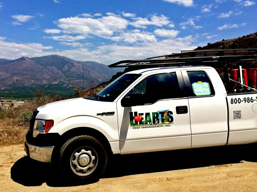 Hearts Pest Management Carlsbad | 3095 Harding St, Carlsbad, CA 92008, USA | Phone: (760) 753-8008