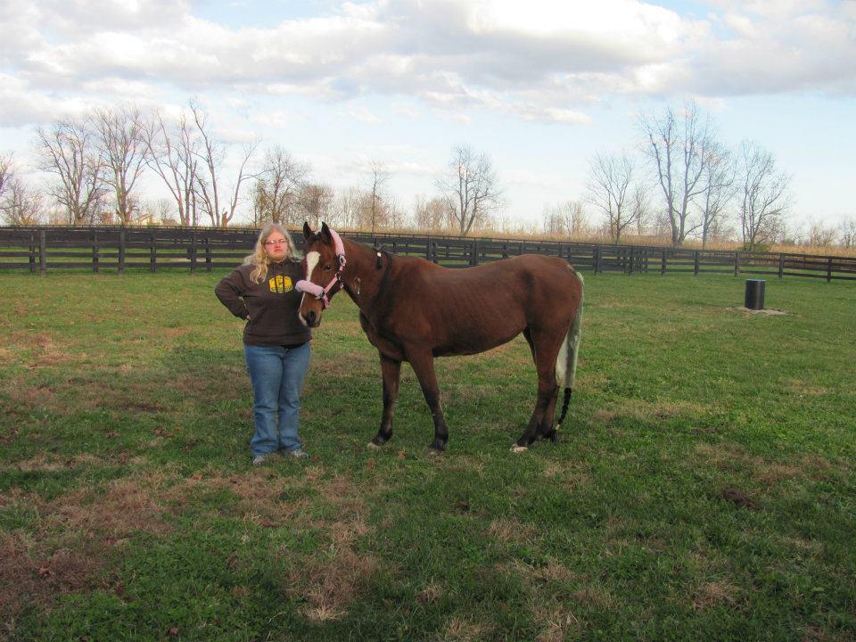 Park Equine Hospital | 5455 Lexington Rd, Lexington, KY 40511, USA | Phone: (859) 987-4303