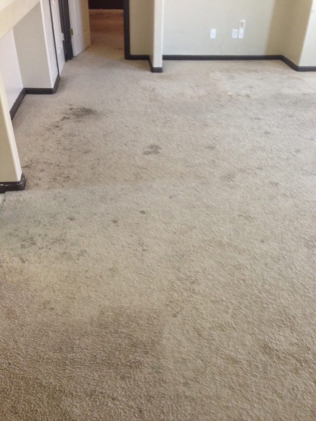 JEM Carpet & Upholstery Cleaning | 6409 Easter Lily Ct, Bakersfield, CA 93313, USA | Phone: (661) 474-6696