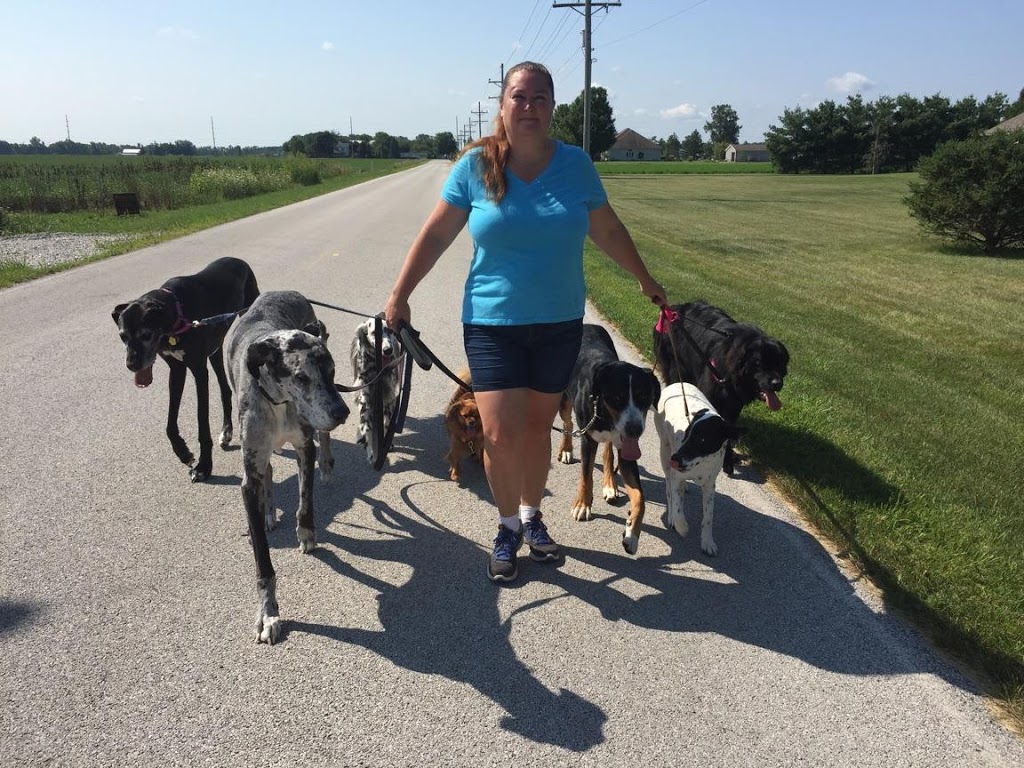 Talk Dog Toledo Dog Training | 4061 County Rd 16, Woodville, OH 43469, USA | Phone: (419) 849-3605