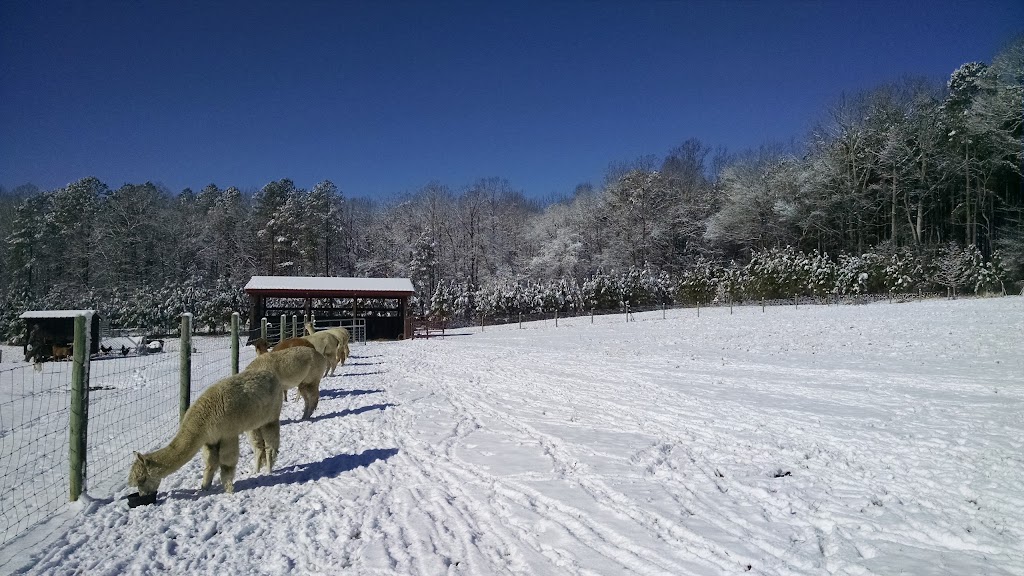 Alpacas at Cherry Run, LLC | 79 Vista Ridge Dr, Willow Spring, NC 27592 | Phone: (919) 622-0339