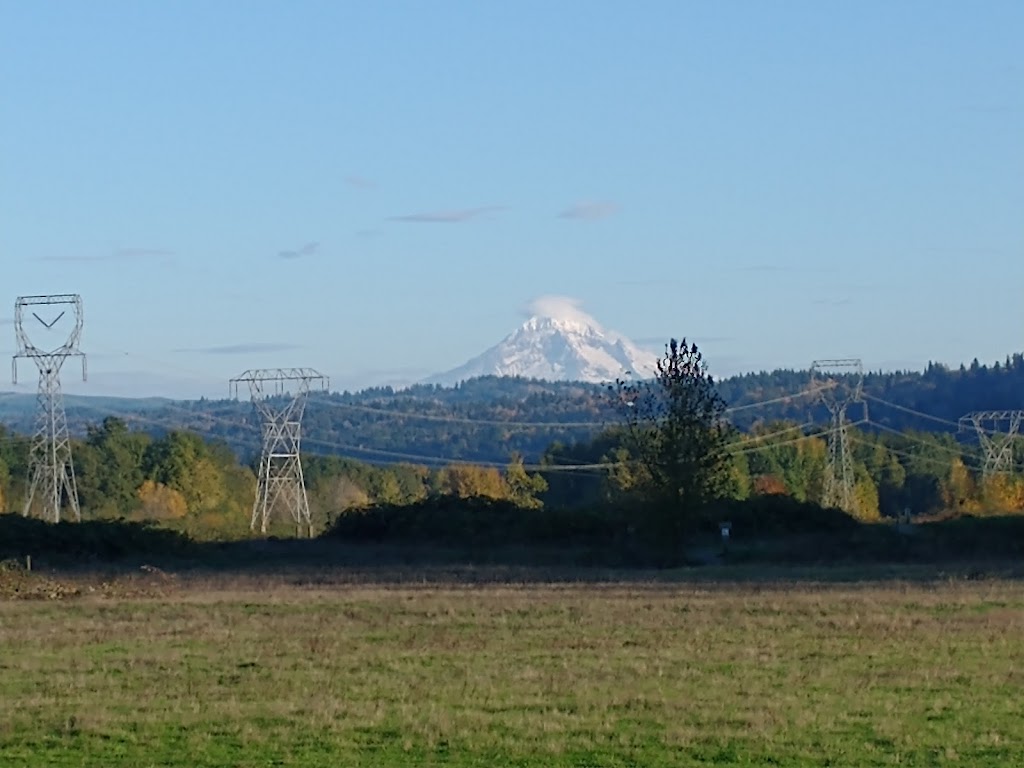 Sandy River Delta | Thousand Acres Rd, Troutdale, OR 97060, USA | Phone: (503) 695-2372