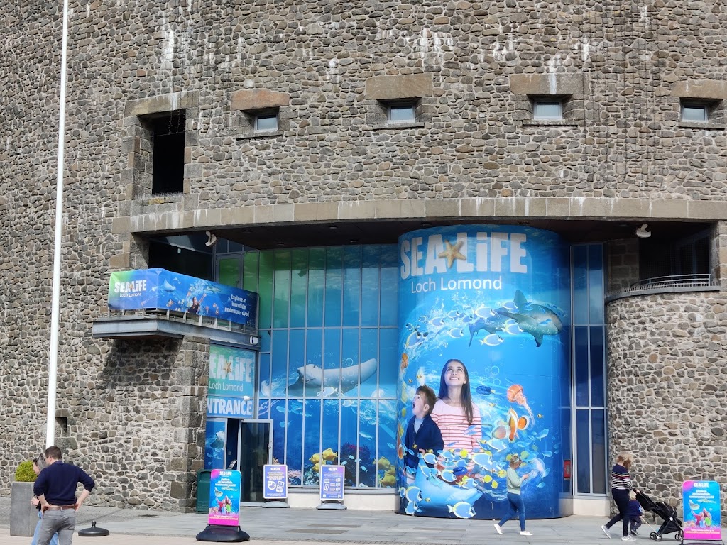 SEA LIFE Loch Lomond Aquarium | Drumkinnon Tower, Ben Lomond Way, Balloch, Alexandria G83 8QL, UK | Phone: 01389 722319