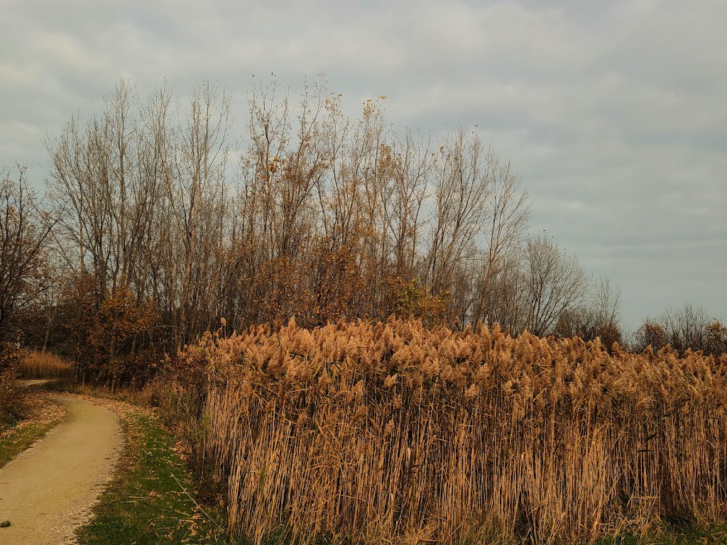 Ruscom Shores Conservation Area | Pointe aux Roches, Lakeshore, ON N0R 1S0, Canada | Phone: (519) 776-5209