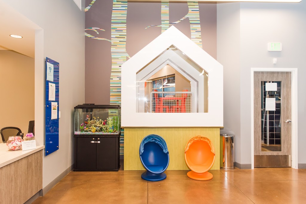 Treehouse Pediatrics | 1001 Little Oak Way, Round Rock, TX 78681 | Phone: (512) 255-8868