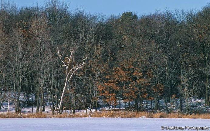 Boot Lake Scientific and Natural Area (SNA) | Jodrell St NE, Wyoming, MN 55092 | Phone: (651) 259-5800