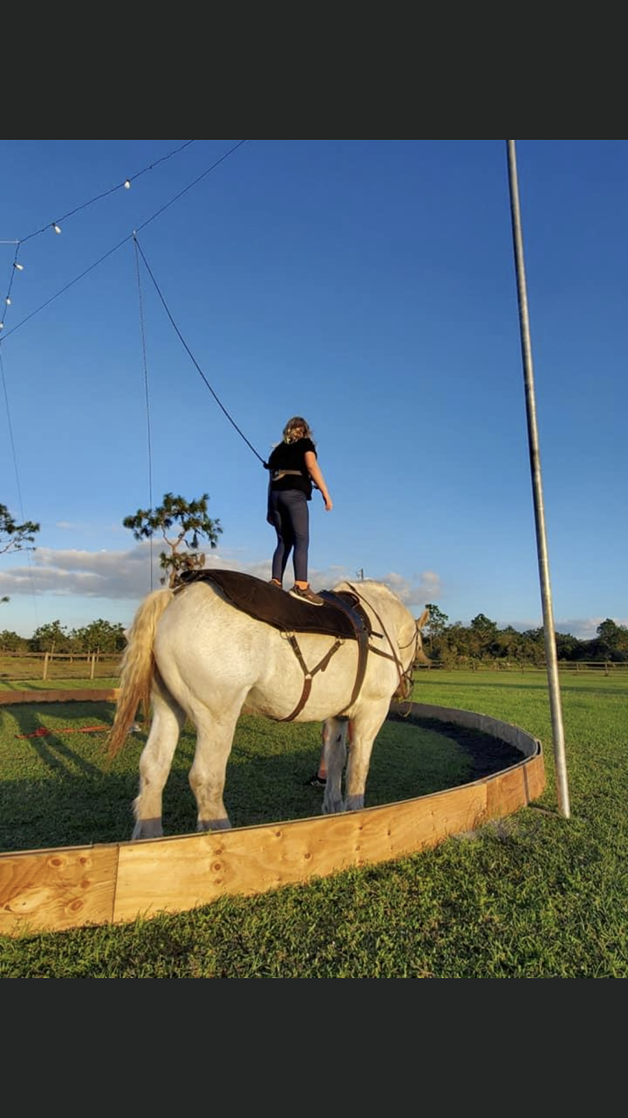 Circus On The Ranch | 9855 Wauchula Rd, Myakka City, FL 34251, USA | Phone: (775) 223-9103