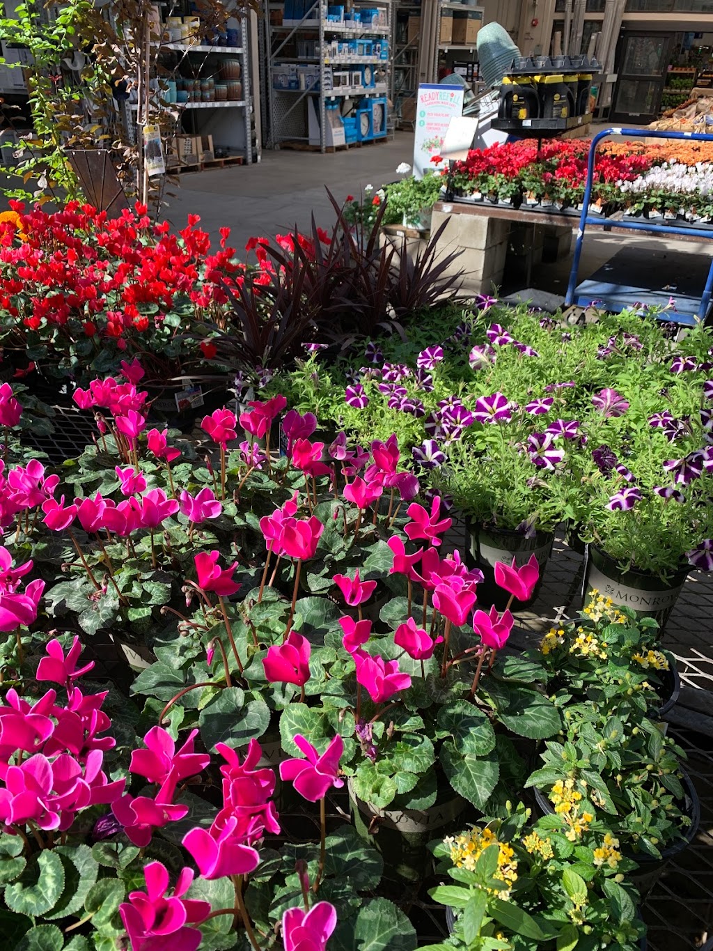 Lowes Garden Center | 13251 Peyton Dr, Chino Hills, CA 91709, USA | Phone: (909) 627-6039