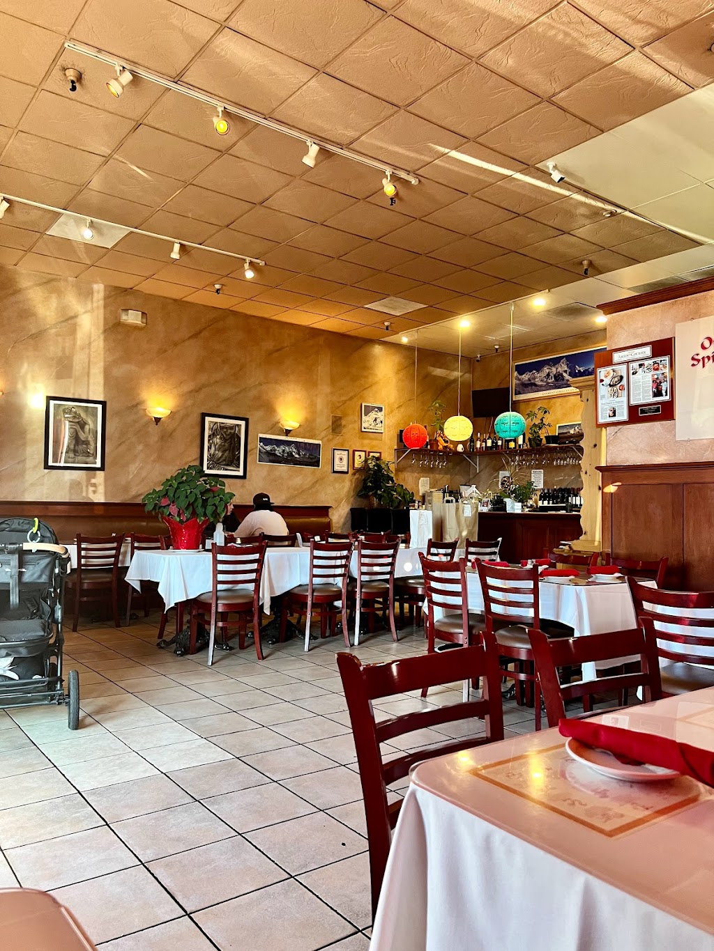 Everest Indian Restaurant | 56 E Washington St, Petaluma, CA 94952, USA | Phone: (707) 781-9131