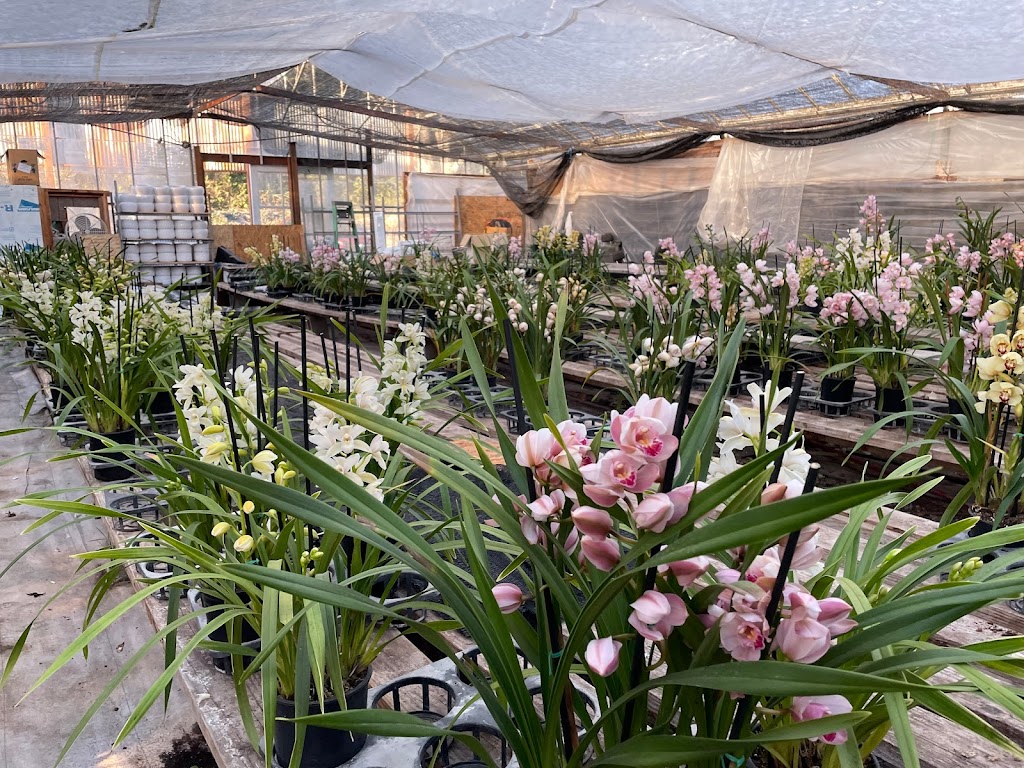Bay Area Orchids | 12511 San Mateo Rd, Half Moon Bay, CA 94019, USA | Phone: (650) 922-4975