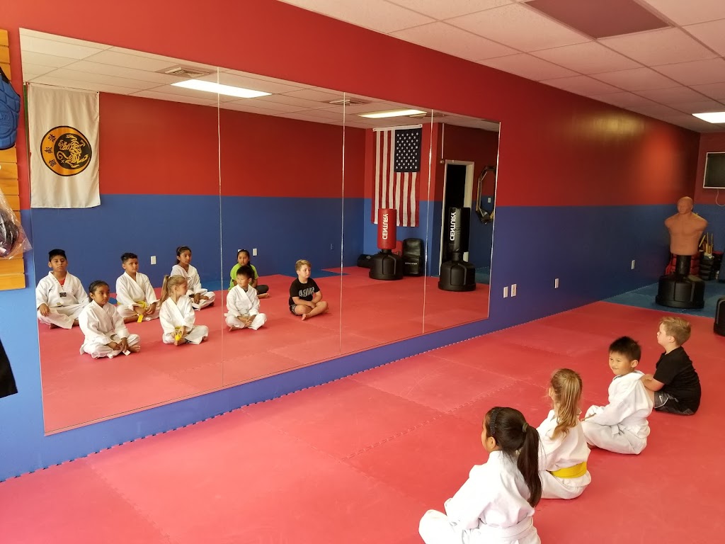 Budokan Karate USA | Abundant Life Ministries, 1550 S Belcher Rd, Largo, FL 33771, USA | Phone: (813) 230-5995