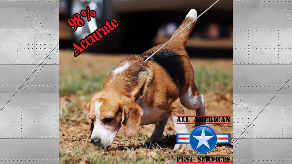 All American Pest Services | 6508 13th Ave E, Bradenton, FL 34208, USA | Phone: (941) 202-9270