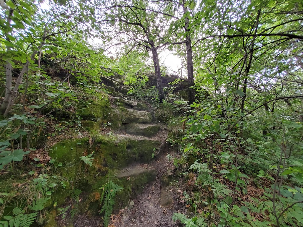 Chimney Rock Scientific and Natural Area (SNA) | Joan Ave, Hastings, MN 55033, USA | Phone: (651) 259-5800