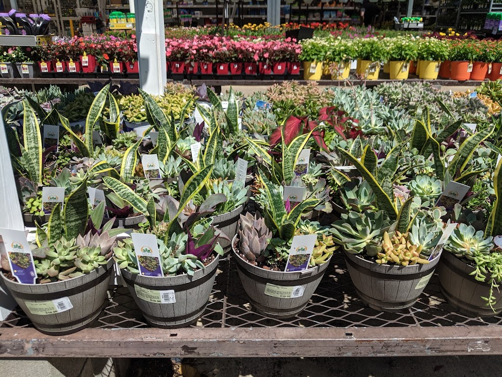 Lowes Garden Center | 955 Bullsboro Dr, Newnan, GA 30265, USA | Phone: (770) 304-1600