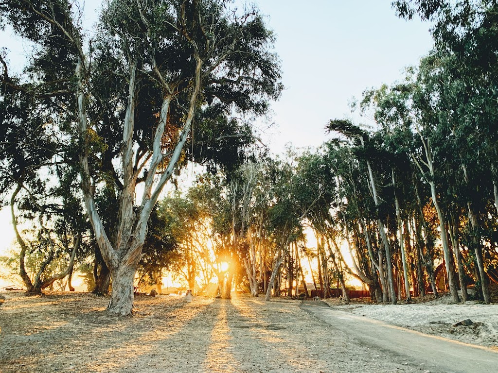 Palm Beach State Park | Palm Beach State Park Entrance Station, 2660 Beach Rd, Watsonville, CA 95076, USA | Phone: (831) 763-7063