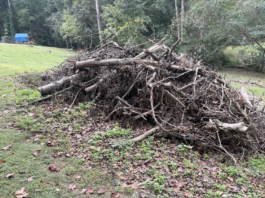 Pennys Tree Service | 3980 Premier Dr, High Point, NC 27265, USA | Phone: (336) 829-4471