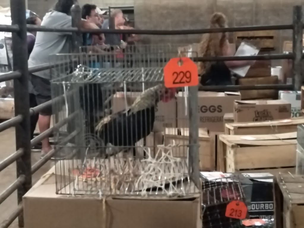 Northampton Co-Op Auction | 353 Long Plain Rd, Whately, MA 01093, USA | Phone: (413) 665-8774