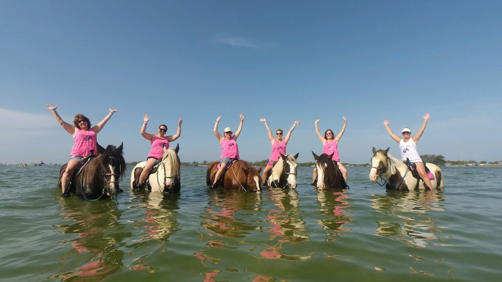 Cponies Beach Horseback Rides | 8400 Manatee Ave W, Bradenton, FL 34209, USA | Phone: (941) 773-5196