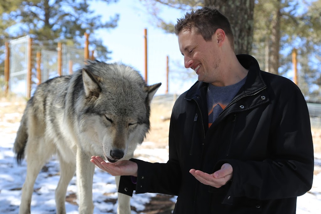 Colorado Wolf and Wildlife Center | 4729 Twin Rocks Rd, Divide, CO 80814, USA | Phone: (719) 687-9742