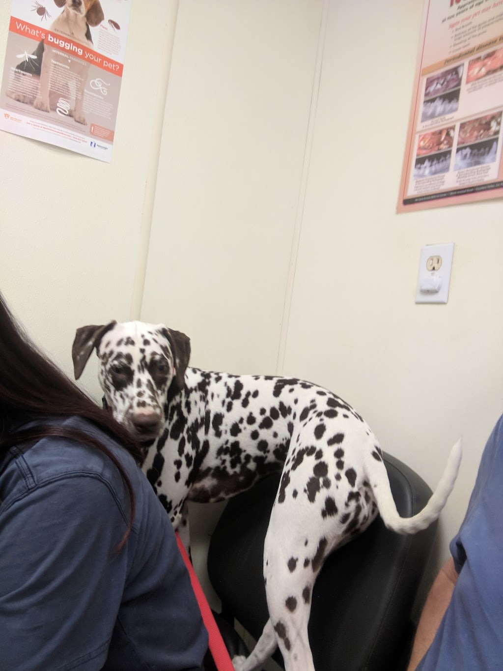 Pet Medical Center- Sunland | 8416 Foothill Blvd, Sunland, CA 91040, USA | Phone: (818) 353-8508