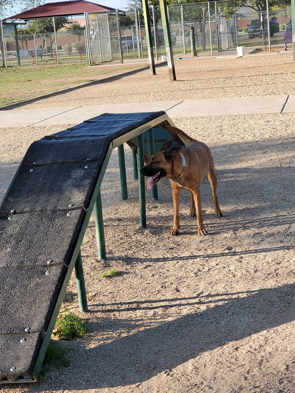 Foothills Dog Park | 19055 N 57th Ave, Glendale, AZ 85308, USA | Phone: (602) 717-8248