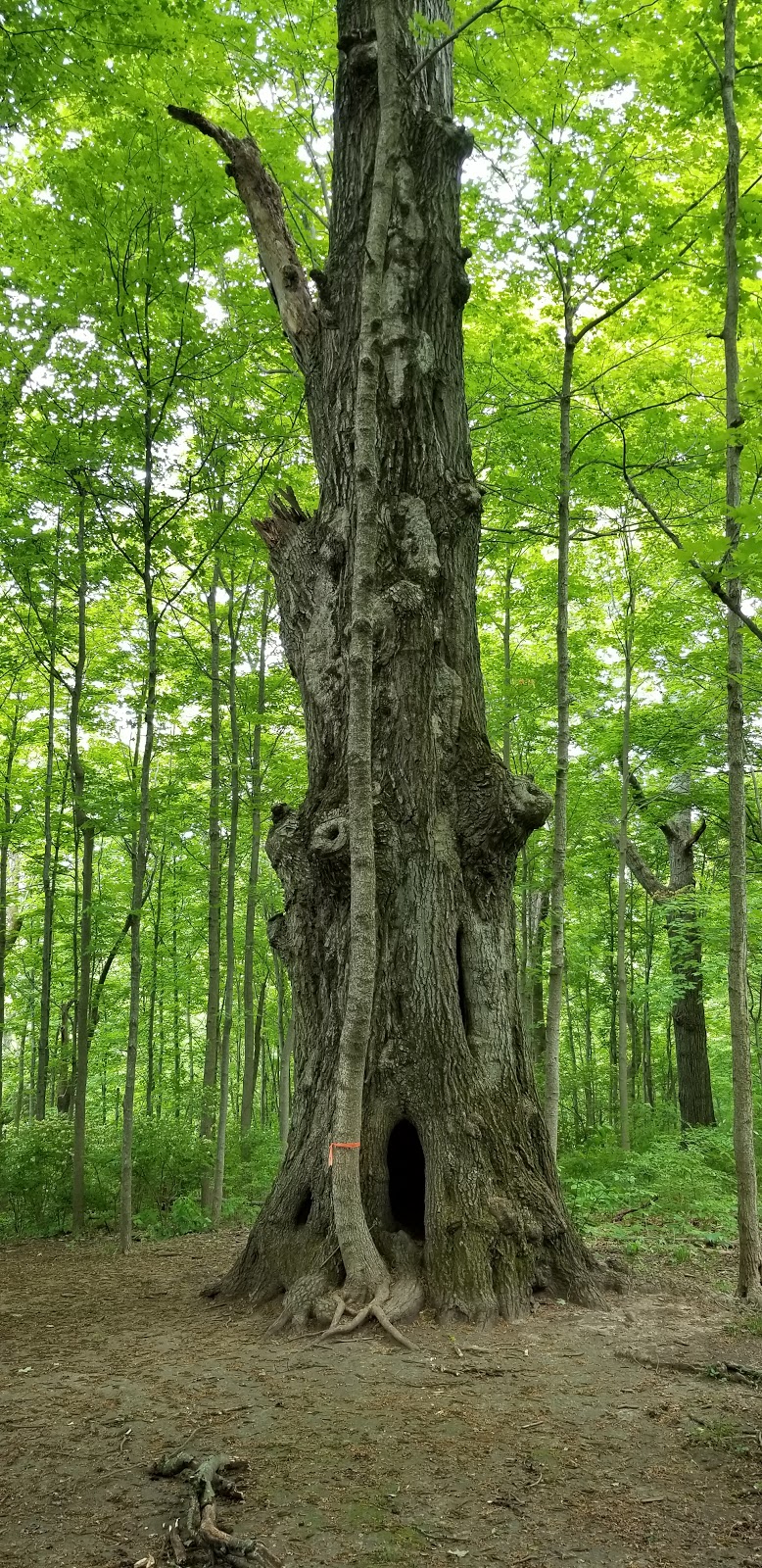 Boone County Extension Environmental & Nature Center | 9101 Camp Ernst Rd, Union, KY 41091, USA | Phone: (859) 586-6101