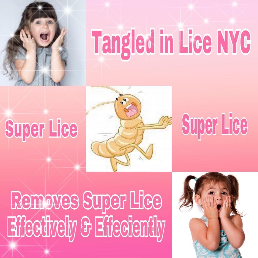 Tangled in Lice NYC | 1902 8th Ave, Brooklyn, NY 11215, USA | Phone: (646) 457-2339