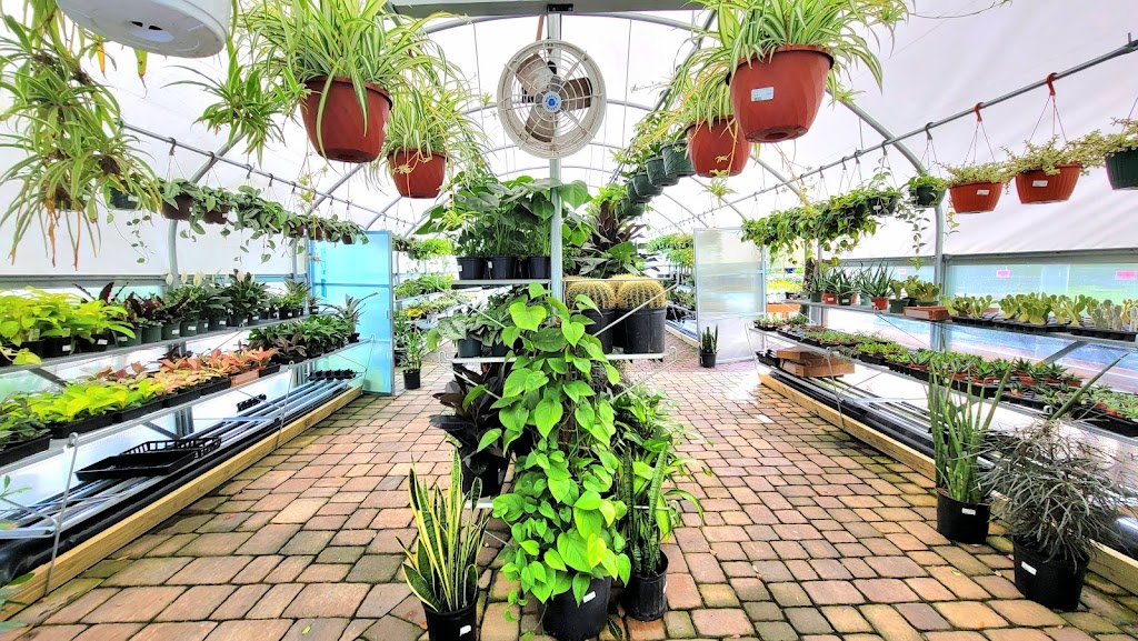 Earth Works Plant Nursery | 12501 Beach Blvd, Jacksonville, FL 32246, USA | Phone: (904) 996-0712