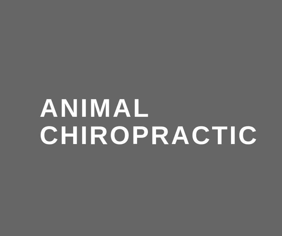 Denver Central Chiropractic | 2305 E Arapahoe Rd #227, Centennial, CO 80122, USA | Phone: (720) 350-4353