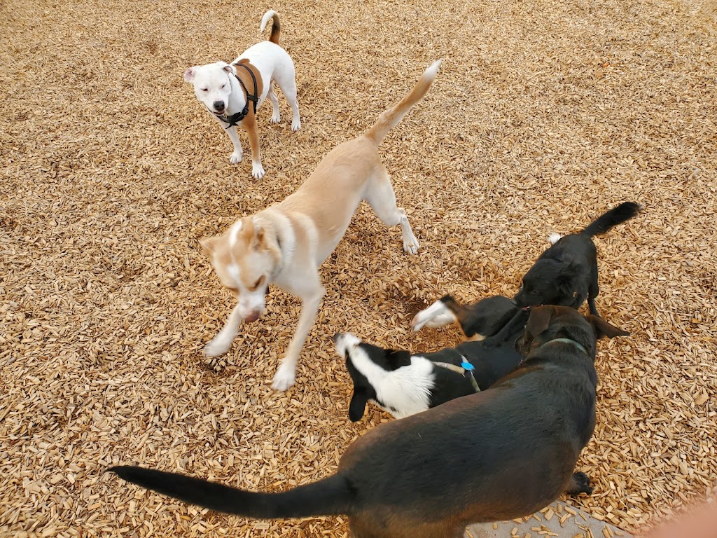 Santa Fe Village Dog Park | 5700 Bogart St NW, Albuquerque, NM 87120, USA | Phone: (505) 768-5353