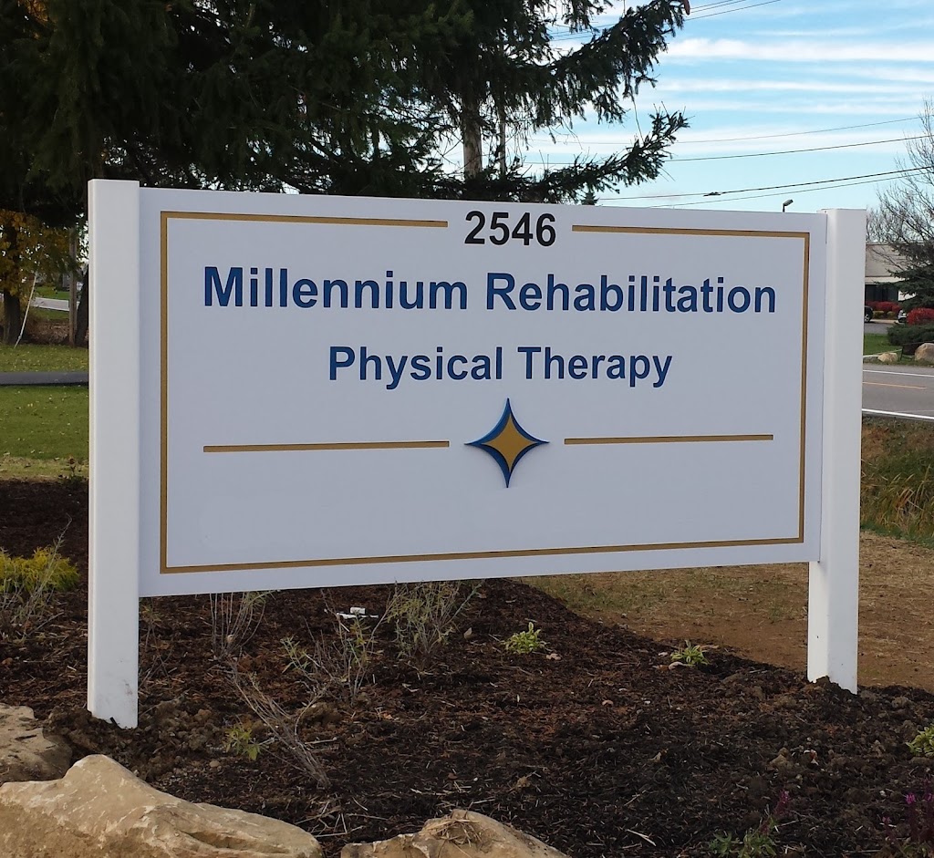 Millennium Rehabilitation Physical Therapy | 2546 Center Rd, Hinckley, OH 44233, USA | Phone: (330) 558-0100