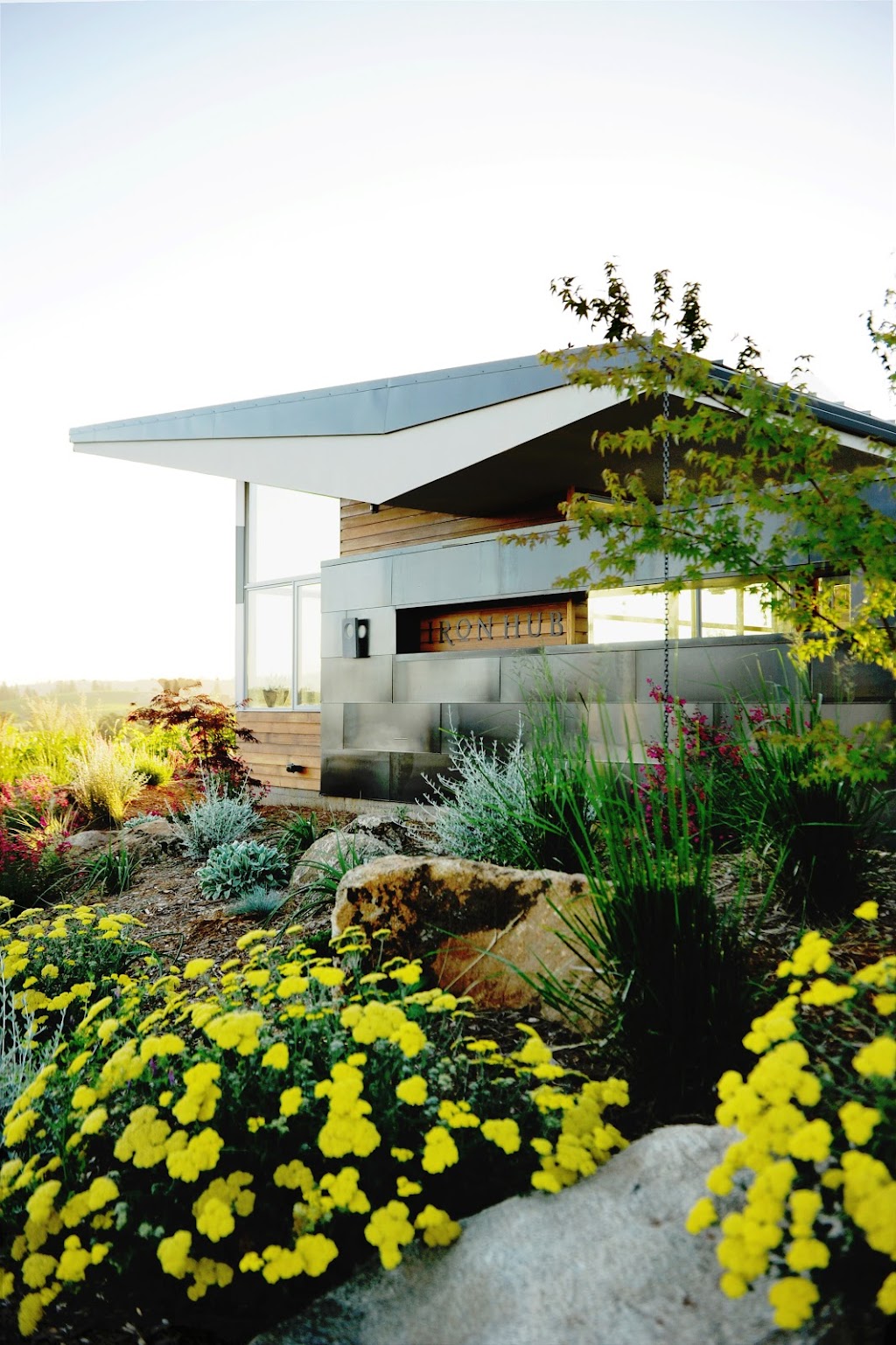 Iron Hub Winery | 12500 Steiner Rd, Plymouth, CA 95669, USA | Phone: (209) 245-6307