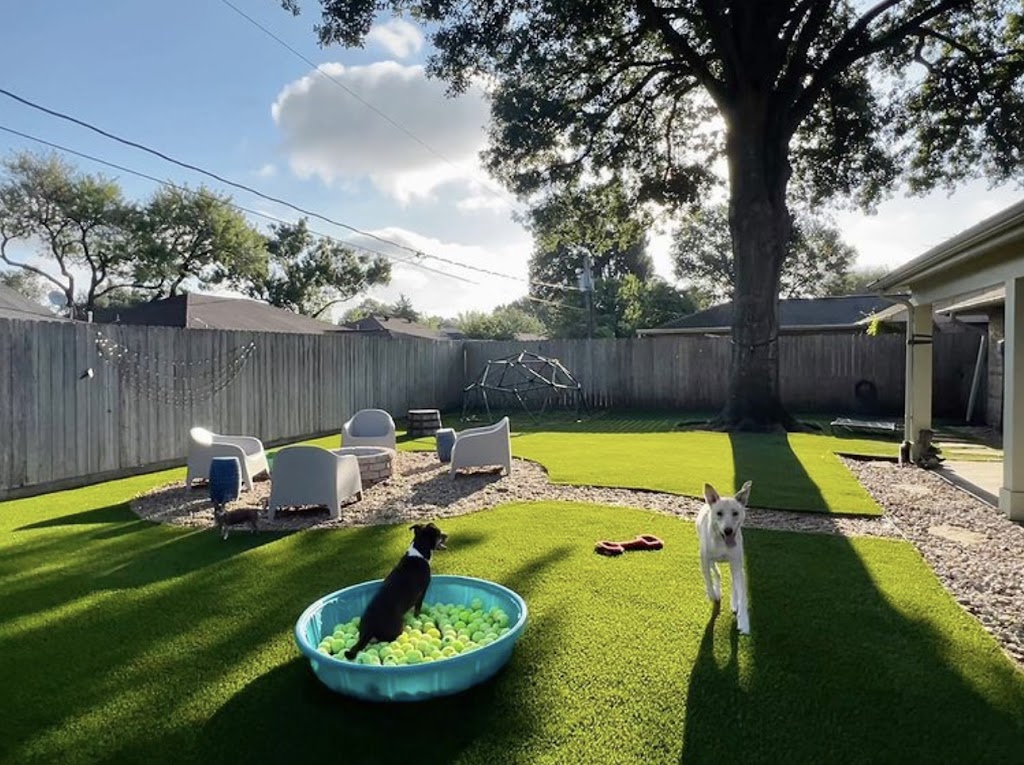 SYNLawn Austin | 10101 FM1102, Suite B, New Braunfels, TX 78130, USA | Phone: (888) 507-8873