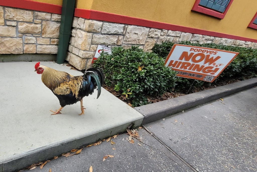 Popeyes Louisiana Kitchen | 1801 Gause Blvd, Slidell, LA 70461, USA | Phone: (985) 649-3456