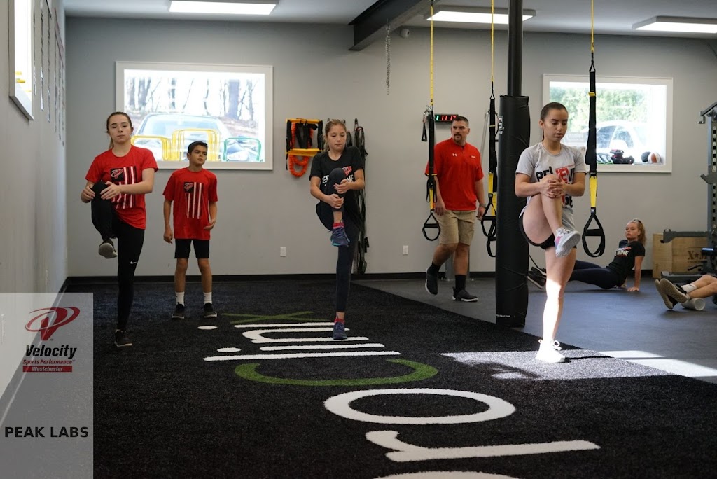 Velocity Sports Performance (Armonk) | 5 N Greenwich Rd, Armonk, NY 10504, USA | Phone: (914) 592-3278