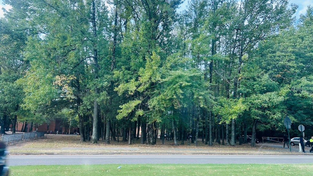 Chimneyrock Elementary School | 8601 Chimneyrock Blvd., Cordova, TN 38016, USA | Phone: (901) 416-2067