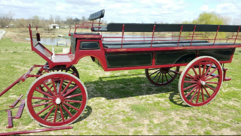 Ohio Carriage Rides | 1271 Joseph Rd, Luckey, OH 43443, USA | Phone: (917) 670-8595