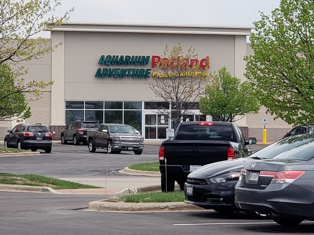 Petland Bolingbrook | The Promenade at Bolingbrook, Petland 744 E Boughton Rd, Bolingbrook, IL 60440, USA | Phone: (630) 739-1213