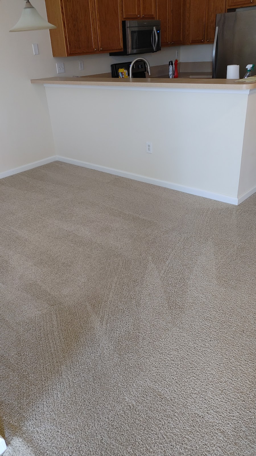 Green Dry Carpet Cleaning | 6372 Greenland Rd #3, Jacksonville, FL 32258, USA | Phone: (904) 373-8573