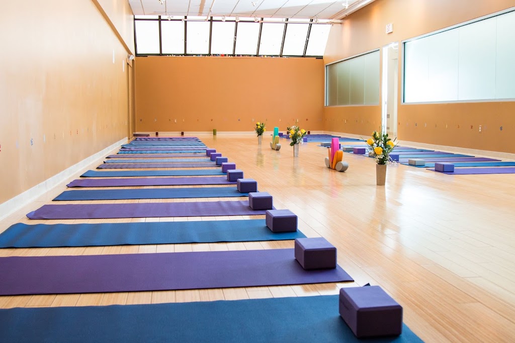 Updog Yoga | 210 W University Dr, Rochester, MI 48307, USA | Phone: (248) 608-6668