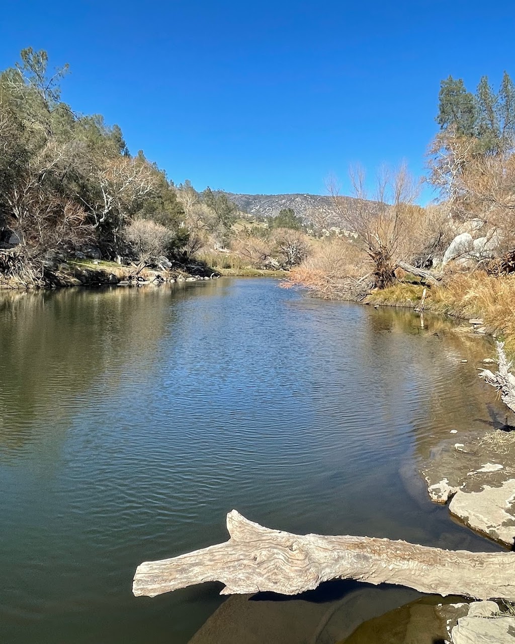 Hobo Campground | Caliente, CA 93518, USA | Phone: (877) 444-6777