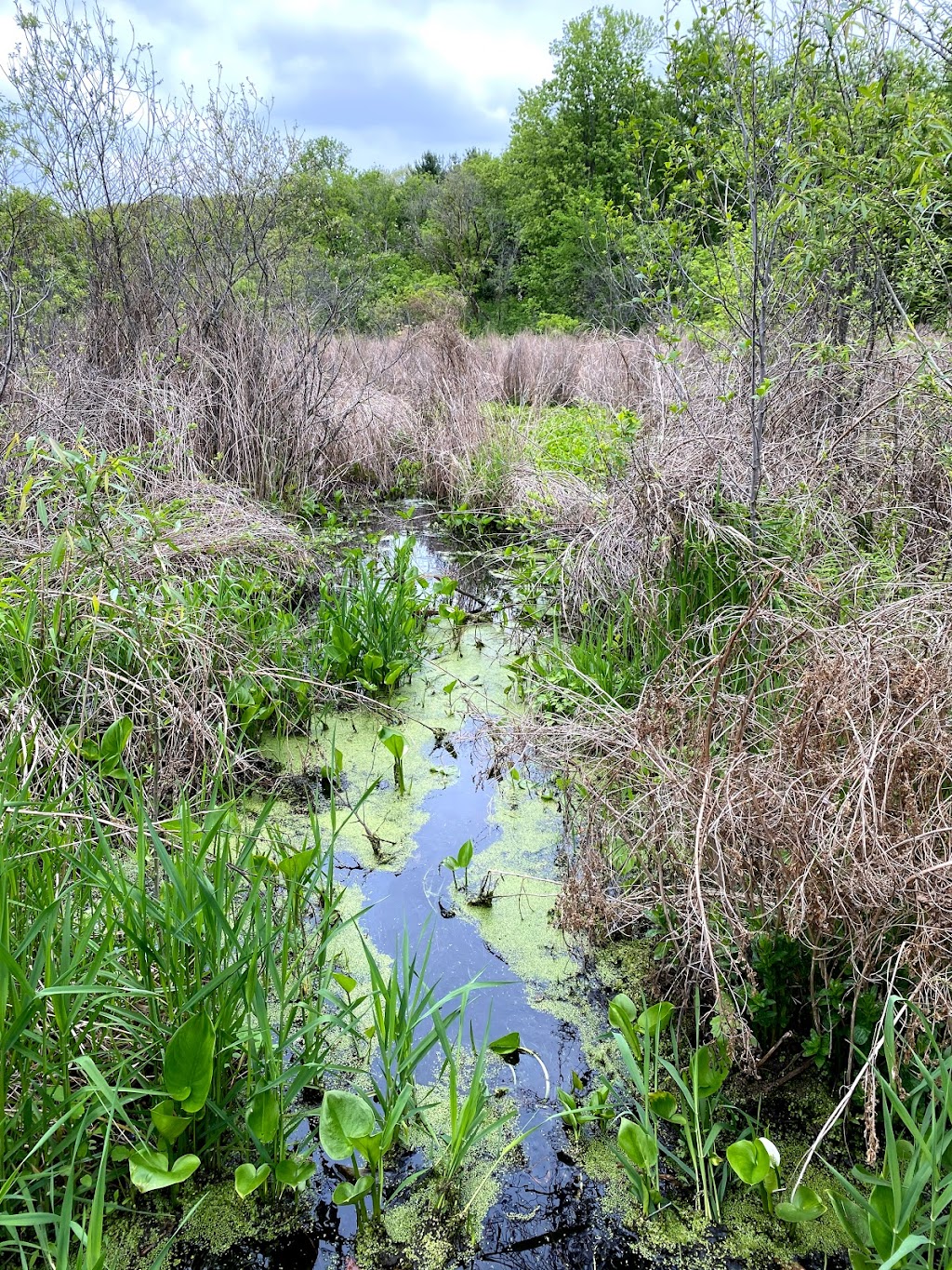 Tamarack Nature Preserve | 1825 Tower Dr, Woodbury, MN 55125, USA | Phone: (651) 714-3500