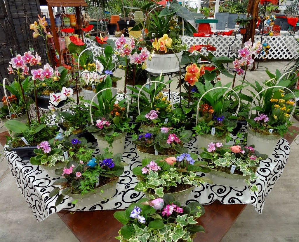 Park Greenhouse Garden Center | 12813 W Ripon Rd, Ripon, CA 95366, USA | Phone: (209) 599-3410